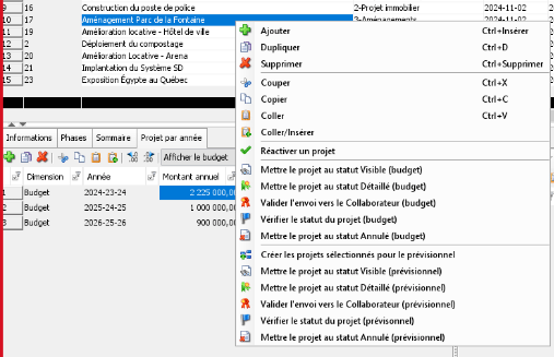 budgetisation des projets 07